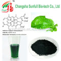 ISO Manufacturer Wholesale Sodium Copper Chlorophyllin Price